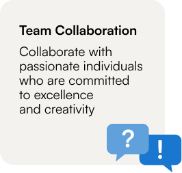 Team Collaboration